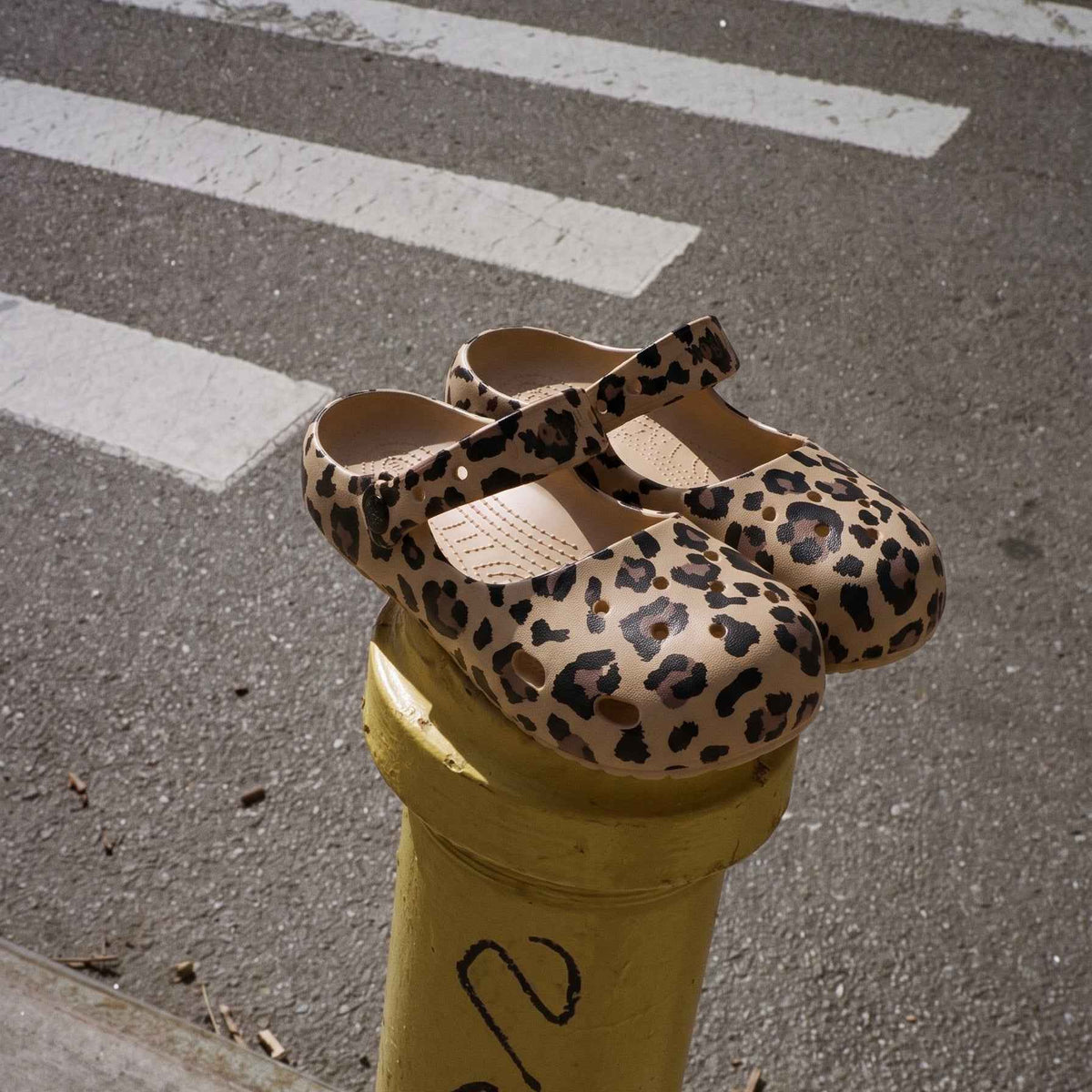 Mary Ballet LEOPARD